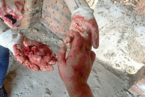 Khabarovsk ludiners će morati doista odgovoriti Khabarovsk ludiners će morati doista odgovoriti